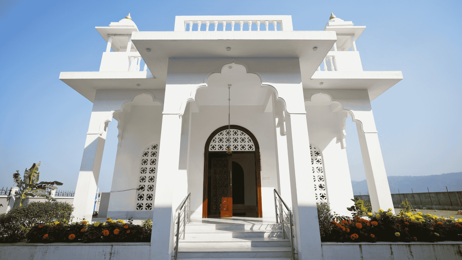 Untitled design (41)